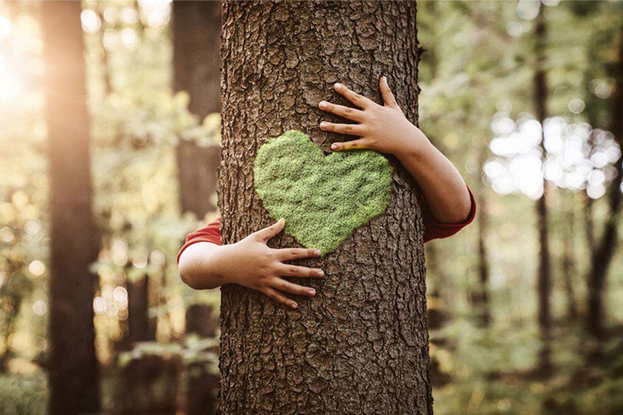 Sustainable wood flooring